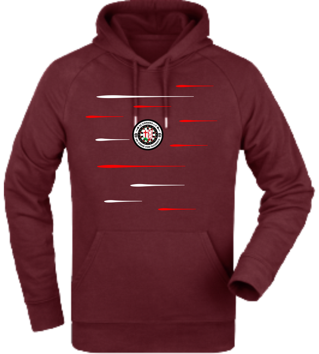 Hoodie "DC Kirrberg Lines"