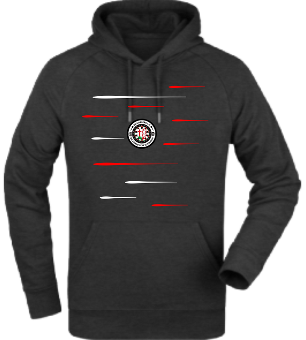 Hoodie "DC Kirrberg Lines"