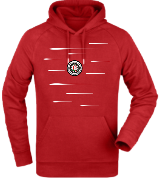 Hoodie "DC Kirrberg Lines"