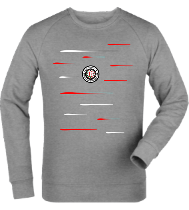 Sweatshirt "DC Kirrberg Lines"