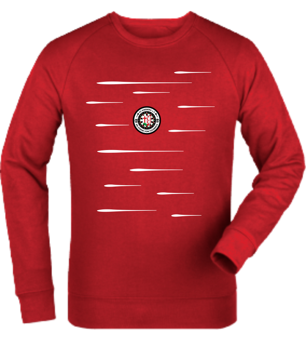 Sweatshirt "DC Kirrberg Lines"