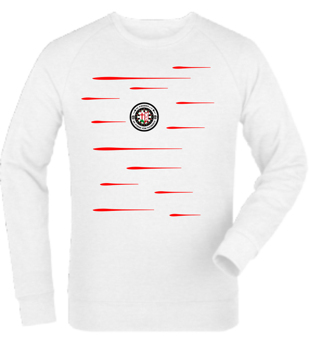 Sweatshirt "DC Kirrberg Lines"