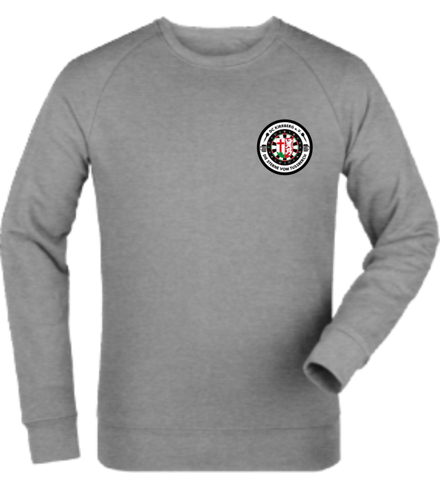 Sweatshirt "DC Kirrberg Logo4c"
