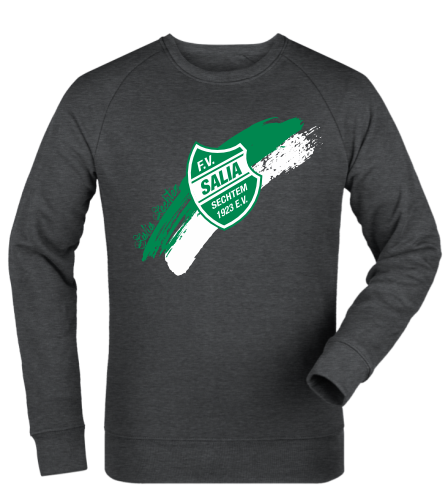 Sweatshirt "FV Salia Sechtem Brush"