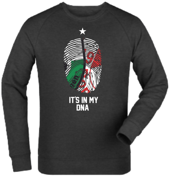 Sweatshirt "JSG Reinhardshagen-Bonaforth DNA"