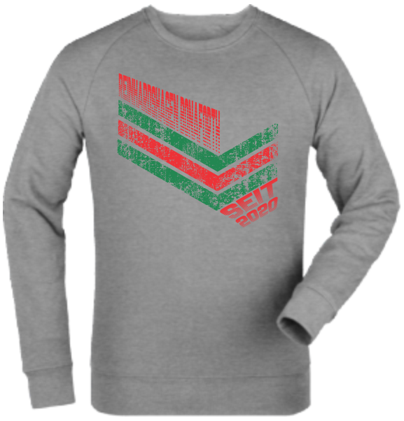 Sweatshirt "JSG Reinhardshagen-Bonaforth Summer"