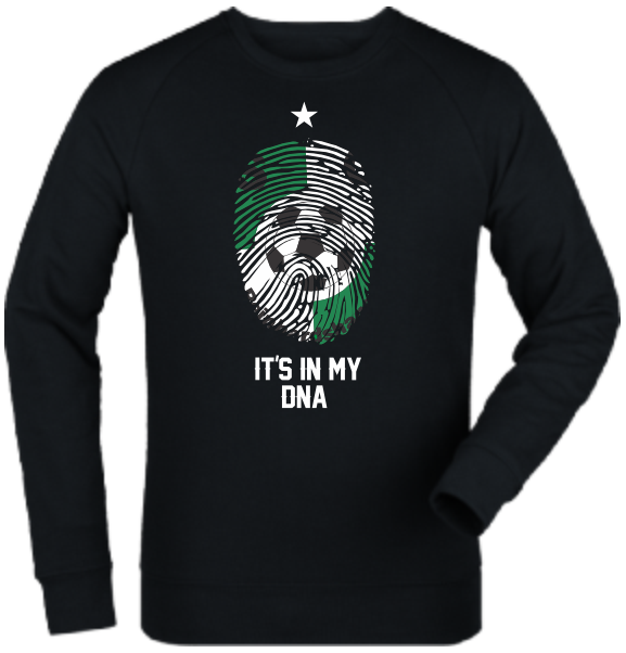 Sweatshirt "SG Reinhardshagen DNA"