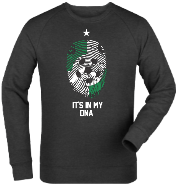 Sweatshirt "SG Reinhardshagen DNA"