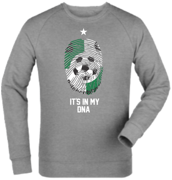 Sweatshirt "SG Reinhardshagen DNA"