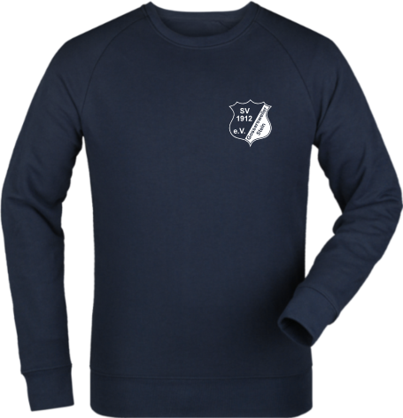 Sweatshirt "SV Gossersweiler-Stein Logo1c"