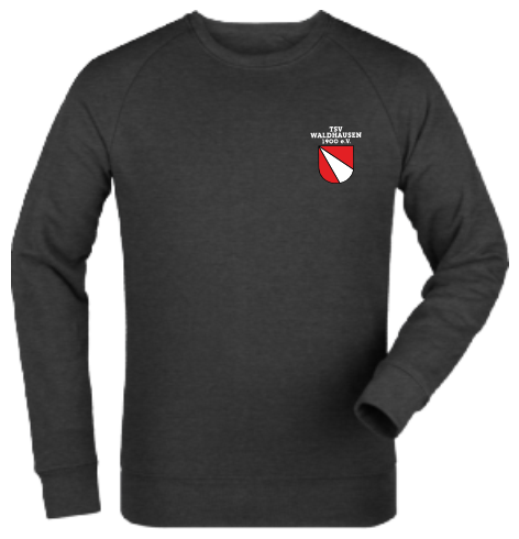 Sweatshirt "TSV Waldhausen Logo4c"