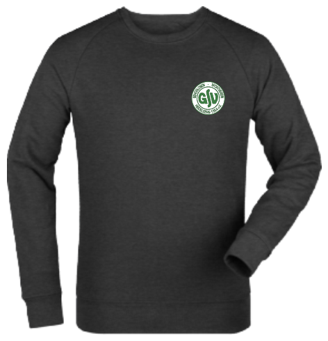 Sweatshirt "GSV Heidelberg Logo4c"