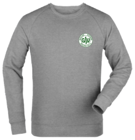 Sweatshirt "GSV Heidelberg Logo4c"