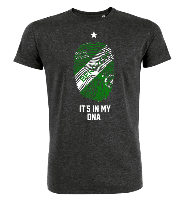 T-Shirt "SV Grün-Weiß Bergzow DNA"