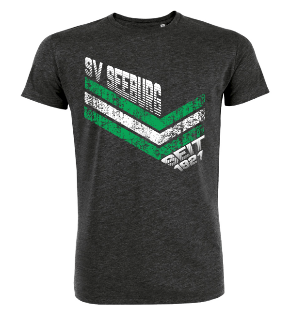 T-Shirt "SV Seeburg Summer"