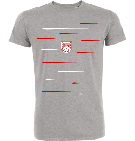 T-Shirt "TSV Aue-Wingeshausen Lines"