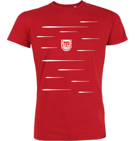 T-Shirt "TSV Aue-Wingeshausen Lines"