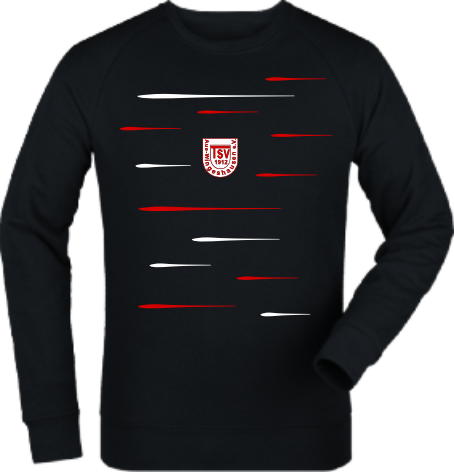 Sweatshirt "TSV Aue-Wingeshausen Lines"