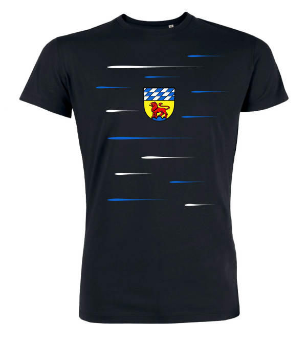 T-Shirt "TSV Löwenstein Lines"