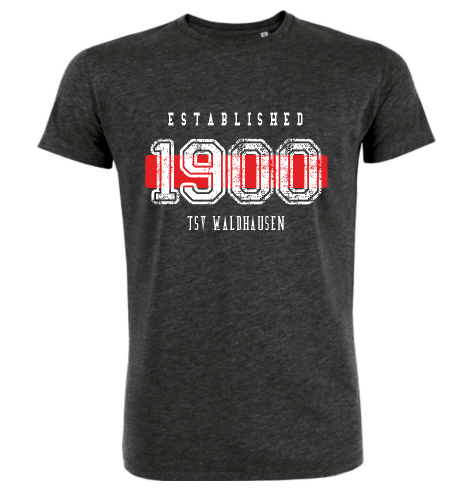 T-Shirt "TSV Waldhausen Established"